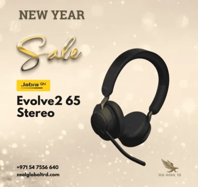 New year Sale Evolve 2 65