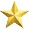 gold-star